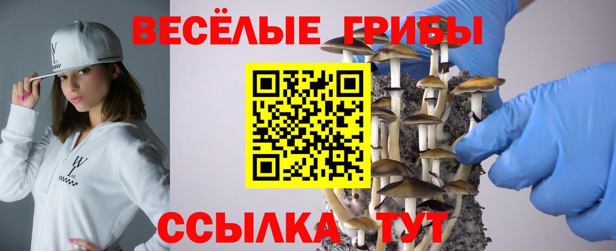 Галлюциногенные грибы мухоморы Клин