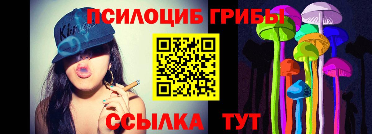 Клин  Галлюциногенные грибы мицелий  Вход с VPN  Галлюциногенные грибы MAGIC MUSHROOMS 